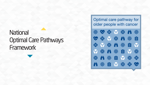 OCP for older people with cancer graphics