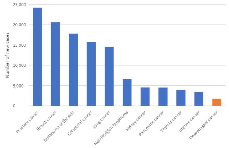 Figure 1. Estimated cancer incidence in Australia, 2022