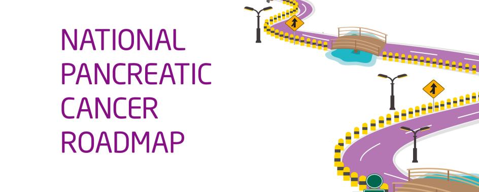 National pancreatic cancer roadmap graphics